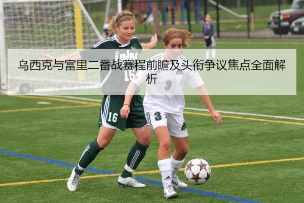 乌西克与富里二番战赛程前瞻及头衔争议焦点全面解析